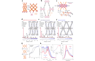 Dynamic two-dimensional covalent organic frameworks via 'wine rack' design 2024.100464